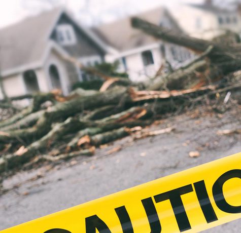 how to spot roof damage after strong winds