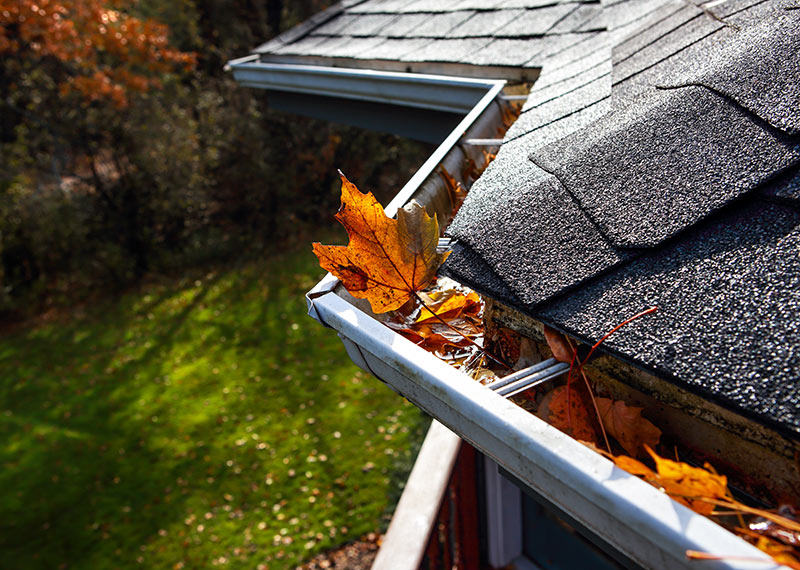 gutters needing cleaned