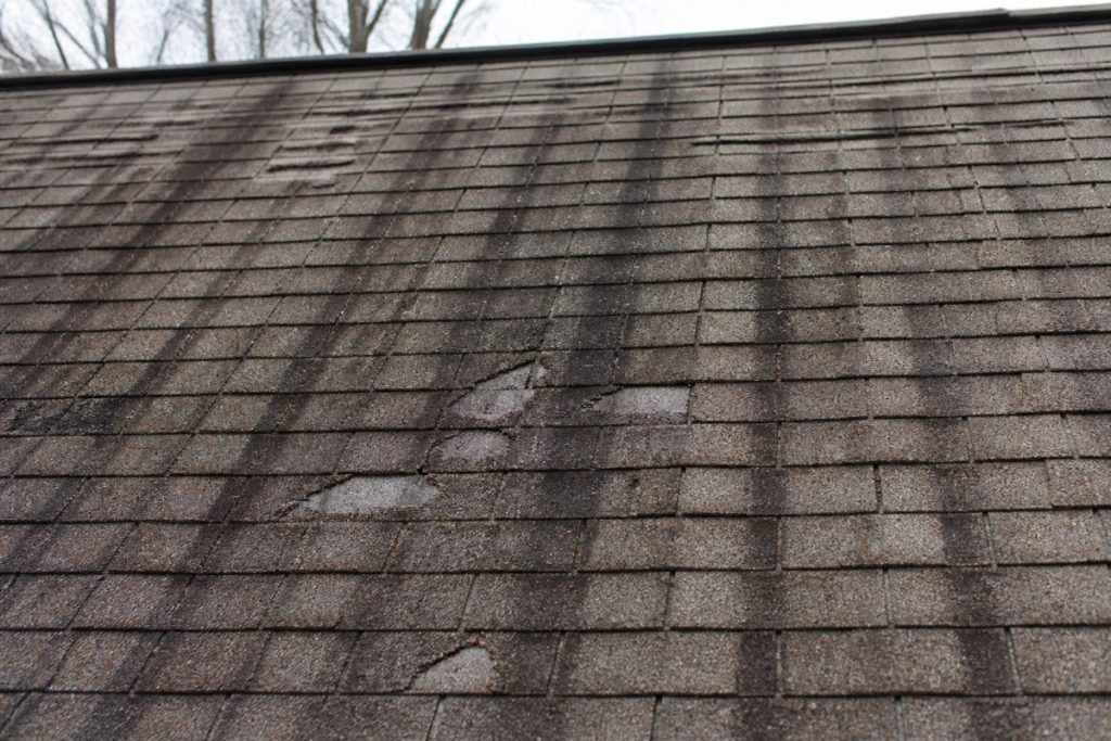 Algae streaks and granule loss on a weathered architectural shingle roof