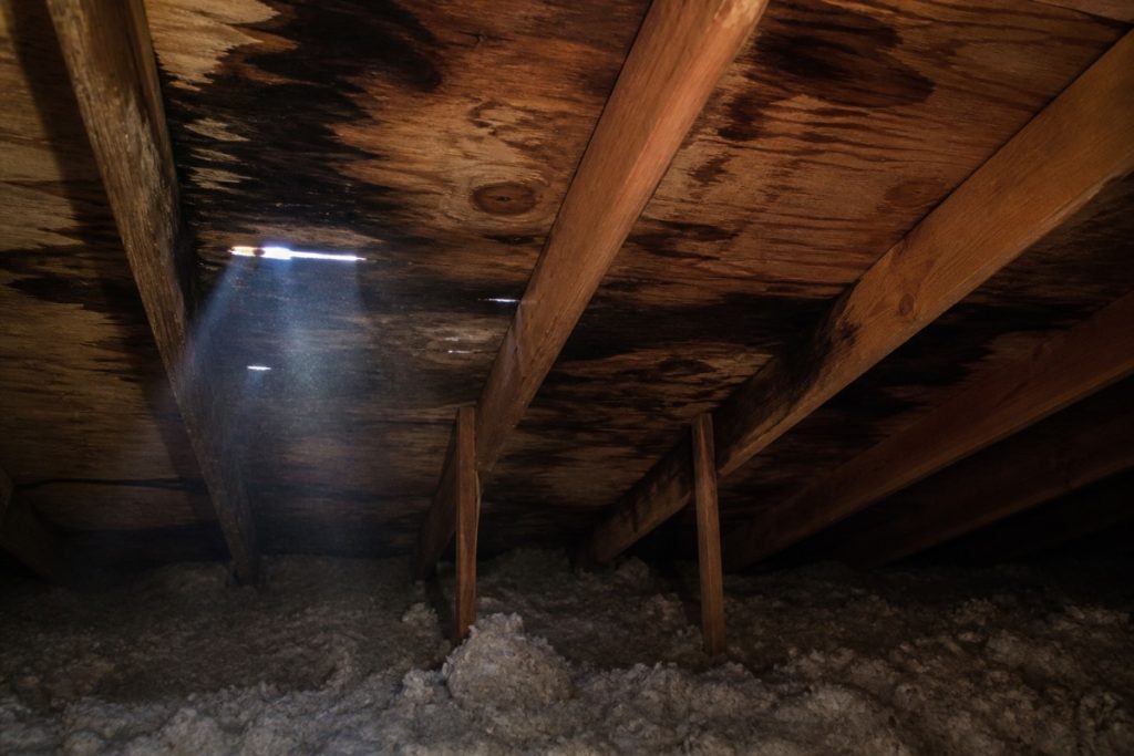 Attic water stains and daylight through the roof deck indicating a roof leak
